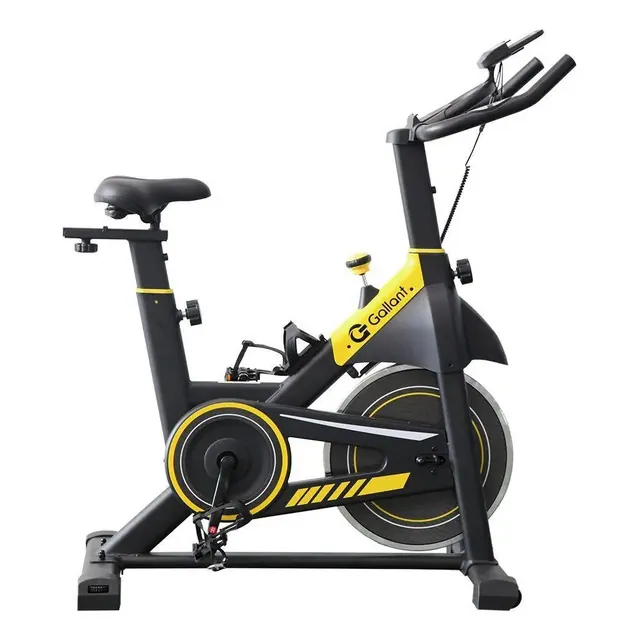 Gallant Elite Spinning Magnética 13 kg (GSB13HMGA-PT)